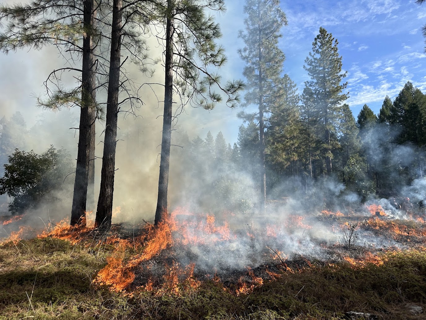 Good Fire In The Sierra Nevada