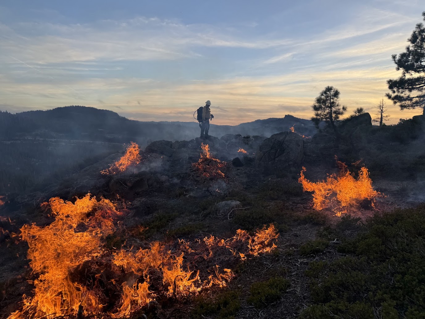 Pile Burning -Donner Summit