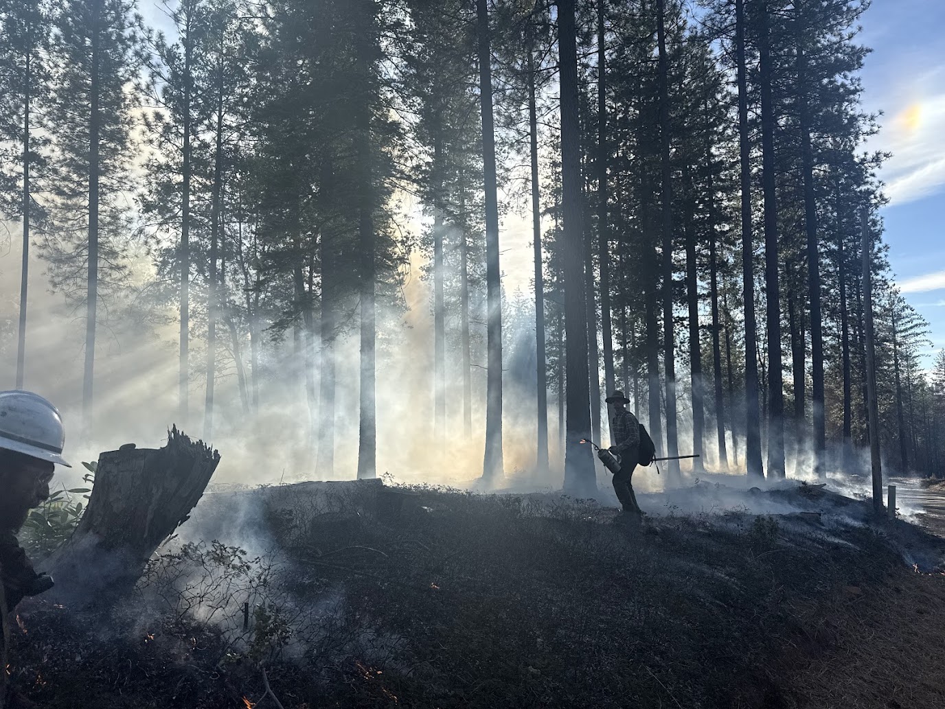 Prescribed Fire In The Sierra Nevada