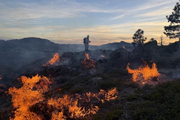 Pile Burning -Donner Summit